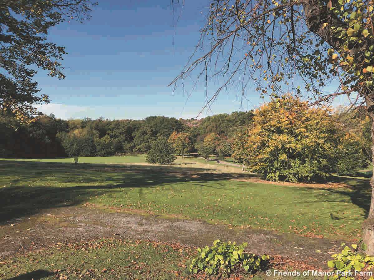 Manor Farm Park - View Across Park